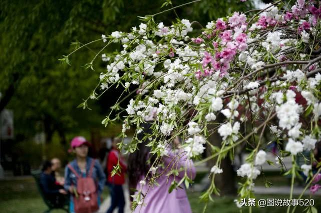 北京旅游最新报价，深度体验古都魅力之旅