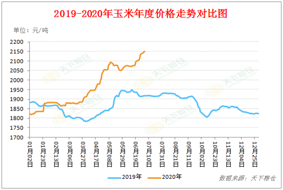 玉米保护价最新政策，保障农民利益与市场稳定的双重策略实施报告