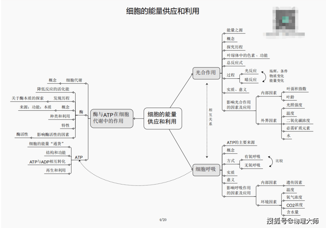 三肖三期必出特马——警惕虚假预测背后的犯罪风险