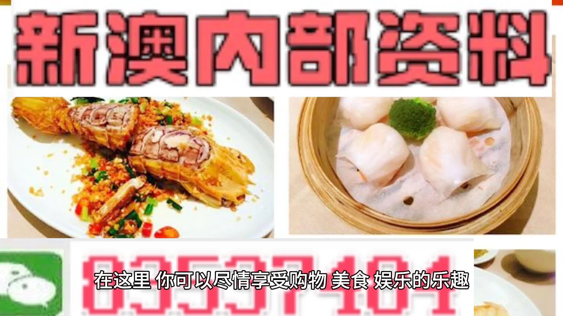 新奥天天精准资料大全，深度解析与应用指南