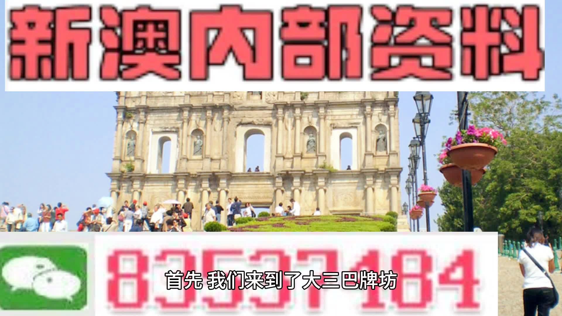 新澳2024年正版资料深度解析