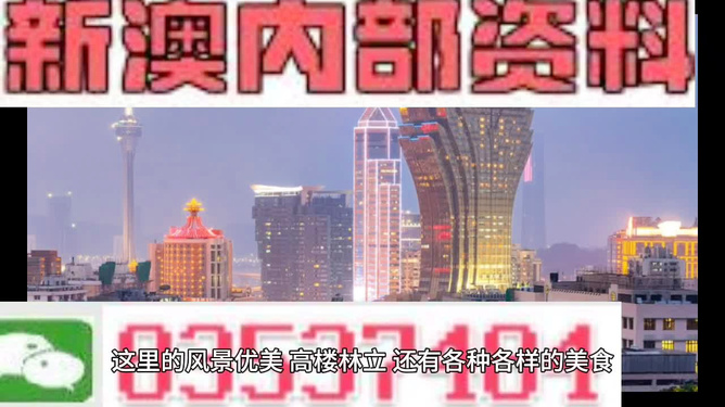 澳门免费资料大全精准版，揭示背后的风险与挑战