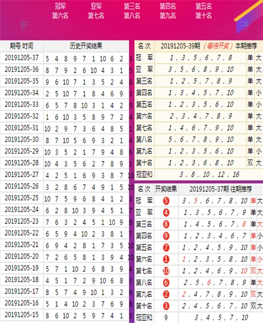 澳门王中王100的资料论坛，揭示背后的风险与警示