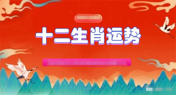 澳门一肖一码100精准2023，揭示背后的真相与挑战