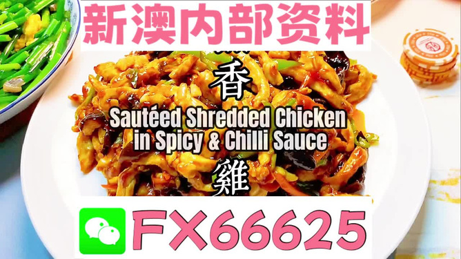 新奥天天精准资料大全，探索与解读