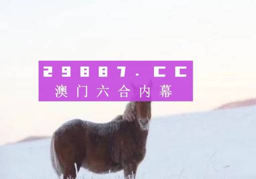 澳门一肖一码一必中一肖同舟前进——探寻命运之码的奥秘与共同前行的力量