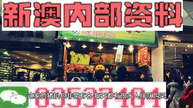 新奥天天精准资料大全，探索与解读