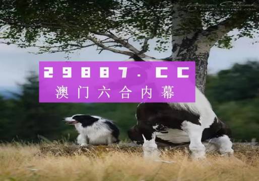 全新版跑狗图解析，探索数字组合77777与88888的神秘世界