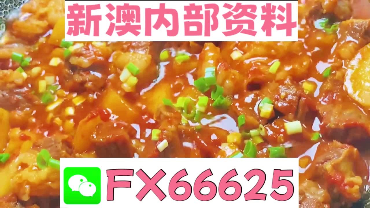 新奥最准免费资料大全，探索与启示