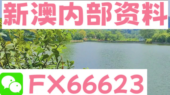 新澳精准资料免费提供第82期，深度解析与前瞻性预测