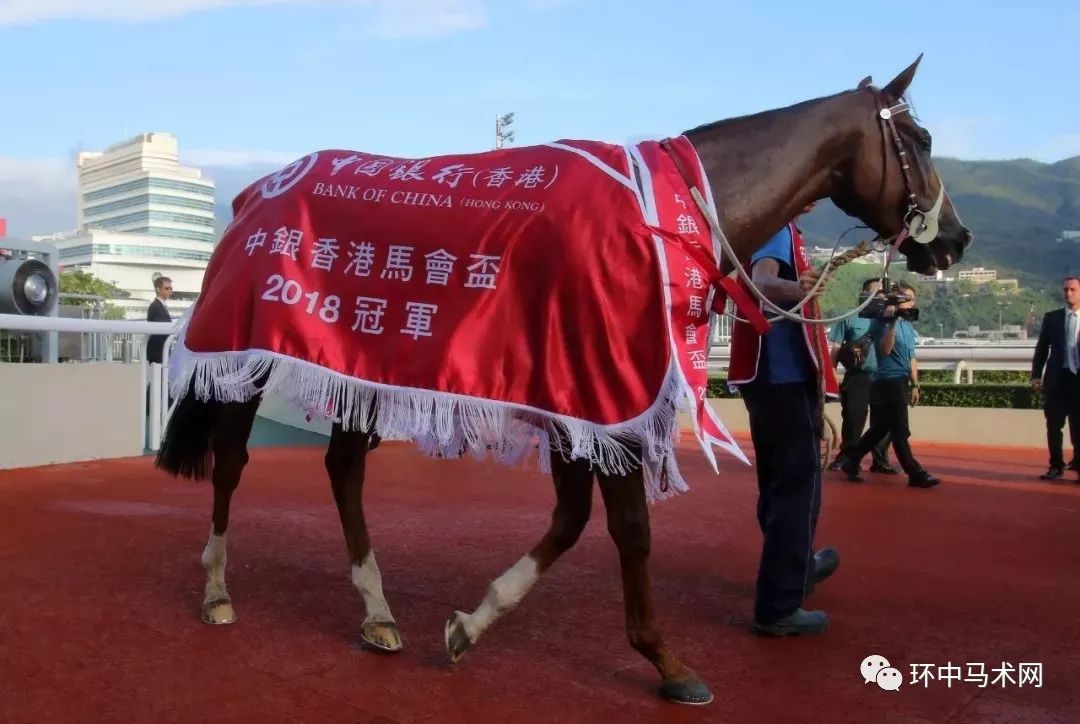 WW777766香港马会总纲诗，探索赛马运动的魅力与诗意表达