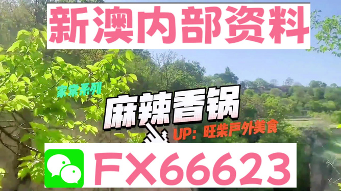 探索未来之门，关于新澳精准资料的免费获取之旅（2024年展望）