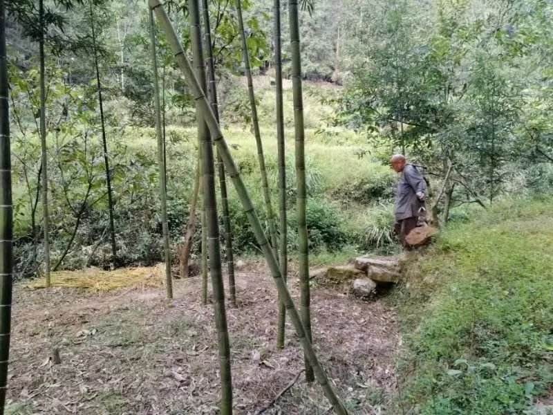 天天干天天日，生活的节奏与自我实现