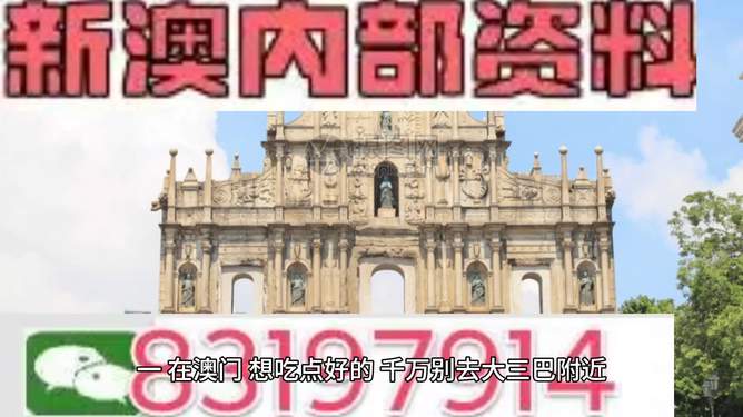 澳门正版精准免费大全，探索未来的新机遇与挑战（2024年展望）